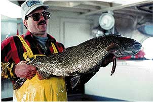 Great Lakes fisherman are less contaminated than they were before. Photo: USGS