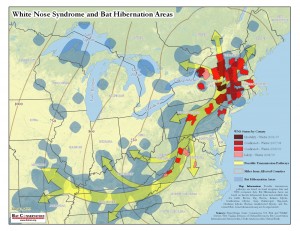 Bat hibernation sites and WNS transmission routes.  Click for full map.  Source: Bat Conservation International