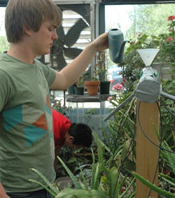 Okemos High School juniors Zach Trelstad (foreground) and Walter Chou tend plants in the schools’ greenhouse during their independent study period.  Trelstad is feeding water into the automatic drip irrigation system they developed for class.  “I’m more into this class than any other one where I’ve sat inside and listened to the teacher,” Trelstad said.