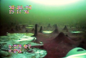 ROV image of cyanobacteria finger-like projections in a Lake Huron sinkhole.  Photo: UW Milwaukee Great Lakes WATER Institute and the National Undersea Research Center, North Atlantic and Great Lakes
