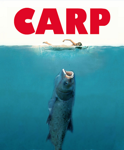 Carp as Jaws
