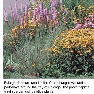 Rain gardens are among the many techniques being employed to control stormwater and prevent urban flooding. Photo: City of Chicago
