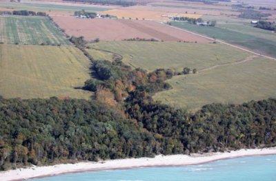 If beachfront property owner planted native trees and plants on the bluffs, the vegetation could act as a buffer preventing shoreline erosion and polluted runoff into Lake Huron. Photo: Lake Huron Centre for Coastal Conservation.