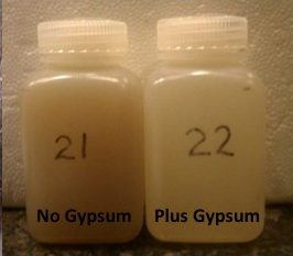 gypsum2