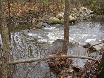 The bottom of the East Fork  Black River’s East Branch. Photo: Environmental Protection Agency.