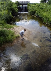 Eric East of Chilton tries to net minnows while camping with his family at Hartman Creek State Park in Waupaca, August 2011. With more than 100 popular summer campsites, Hartman Creek is one of 18 state recreational properties that turned a profit in 2012. Photo: William Glasheen, Gannett Wisconsin Media