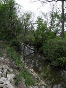 Environmental groups worry that removing too much water from small streams will kill aquatic life. Photo: Karen Schaefer