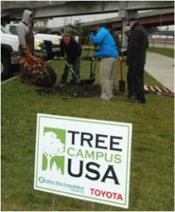 The University of Nebraska is capitalizing on their state's rich history of planting trees. Photo: University of Nebraska