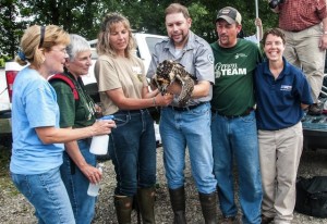 Crew members at the Detroit River International Wildlife Refuge who worked together to make relocation and tracking possible. Left to right: Barb Jensen, Roberta Urbani, Julie Oakes, Brian Washburn, Jason Cousino and Sara Woodhouse. Photo credit: Jane Purslow