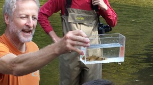 Pat Rakes co-director of Conservation Fisheries, Inc. in Knoxville, displays a banded sculpin from the Tellico River. Image: David Poulson