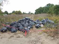 Unlabeled trash bags containing asbestos-contaminated insulation that were illegally dumped in remote spots on Duane O’Malley’s orders. Image: Environmental Protection Agency. 