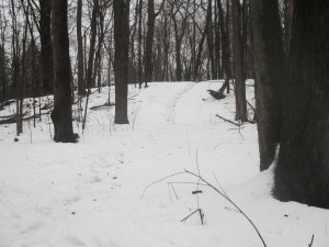 The less small of two small hills in Burcham Park in East Lansing, Mich. Image: Eric Freedman