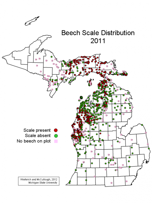 Distribution of beech scales in Michigan in 2011. Image: Michigan Department of Natural Resources
