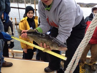 Education Coordinator and Lead Scientist Emily Shaw holds a fish while it is measured. Photo: Inland Seas.