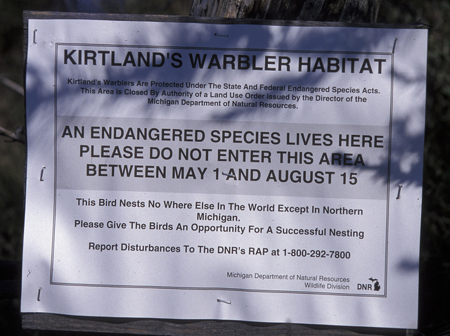 A sign in Grayling, Mich. warns visitors to not enter the nesting area of Kirtland's warblers. Photo: Marcel Holyoak