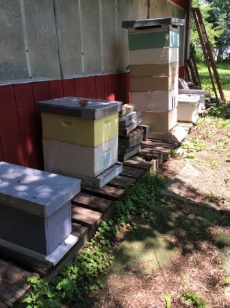 Beekeeping equipment. Image: Sikora 