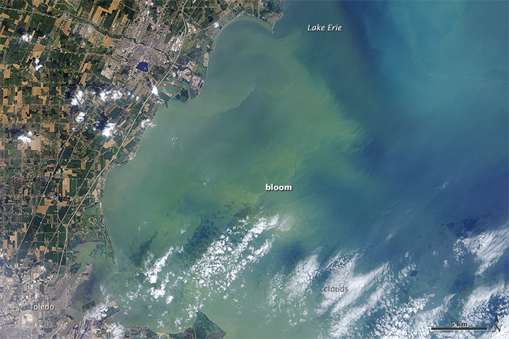 This closer view of the same area was observed on Aug. 1. 2014, by the Operational Land Imager (OLI) on the Landsat 8 satellite. The OLI image includes a special “coastal blue” wavelength band that allows scientists to adjust for visual distortions caused by the atmosphere near the coast. Image: NASA
