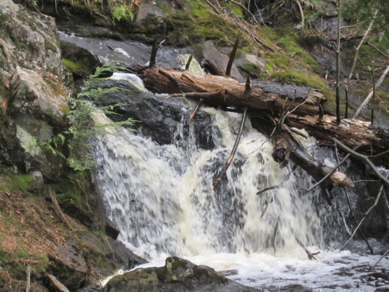 Wildcat Falls in the Ottawa National Forest. Image: Partners in Forestry Cooperative