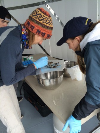 University of Michigan research scientist Melissa Duhaime and research assistants Rachel Cable and Greg Boehm sort through the organisms, plastic debris and sediment collected in their net’s first tow. Image: Danielle Woodward