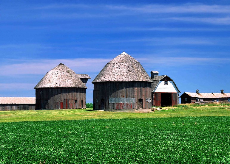 Barns in Lake County Indiana. Image: Marsha Mohr