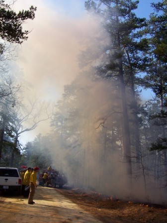 Smoke rises from a prescribed fire at the New Jersey Pine Barrens in March, 2010. Image: Michael Kiefer