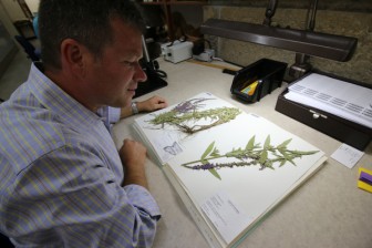 Ken Cameron, UW-Madison Herbarium