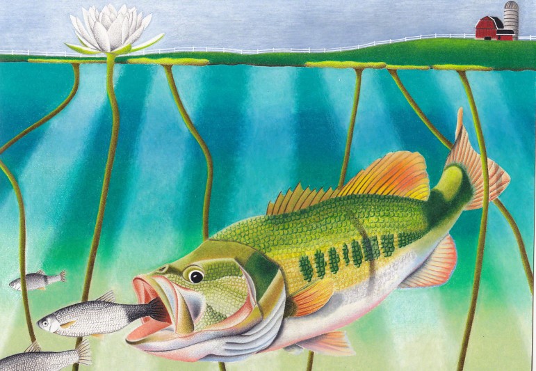 "Beneath the Surface," a drawing of a largemouth bass won the Best in Show award in the national competition in 2014. Jacqueline Flowers of Indiana created the piece. Image: Wildlife Forever/Jacqueline Flowers 