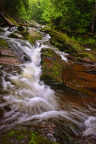 Tim Feathers captured this image of a Porcupine Mountain River while he was the 2013 Porkie Artist-in-Residence.
