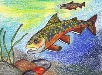 The State-Fish Art People's Choice award went to Claudia Jo of New York, for her creation featuring a brook trout. Image: Wildlife Forever/Claudia Jo 