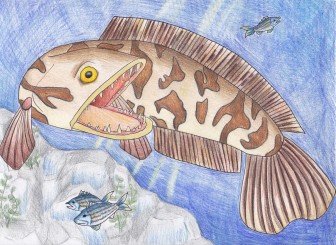 Colleen Malley’s depiction of a striped bass with an invasive northern snakehead won the Invader Crusader award in 2014. The award raises awareness of invasive species.   Image: Wildlife Forever/Colleen Malley 