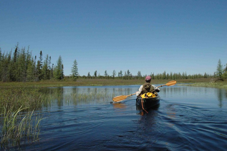 Adirondack Explorer Editor Phil Brown canoeing the Mud Pond waterway in May 2009. Image: Susan Bibeau. (One time use; republication rights not available from Great Lakes Echo.)