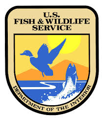 Image: U.S. Fish and Wildlife