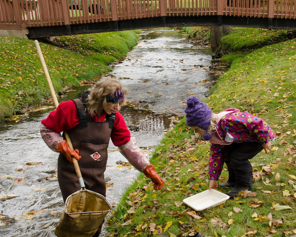 Michigan volunteers collect macroinvertebrates last October. Image: John Lloyd