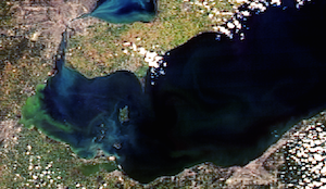 2012 Lake Erie algal bloom