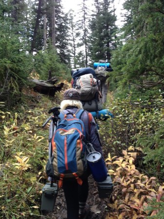 Yellowstone Wolf Patrol members hike into the forest to set up camp. They carry video cameras and tripods to document wolf hunts. Image: Rod Coronado