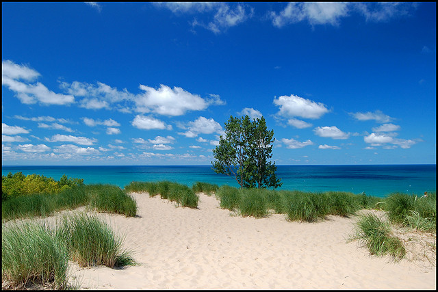 A view of Lake Michigan from Mt. Baldy. Image: Flickr, Tom Gill