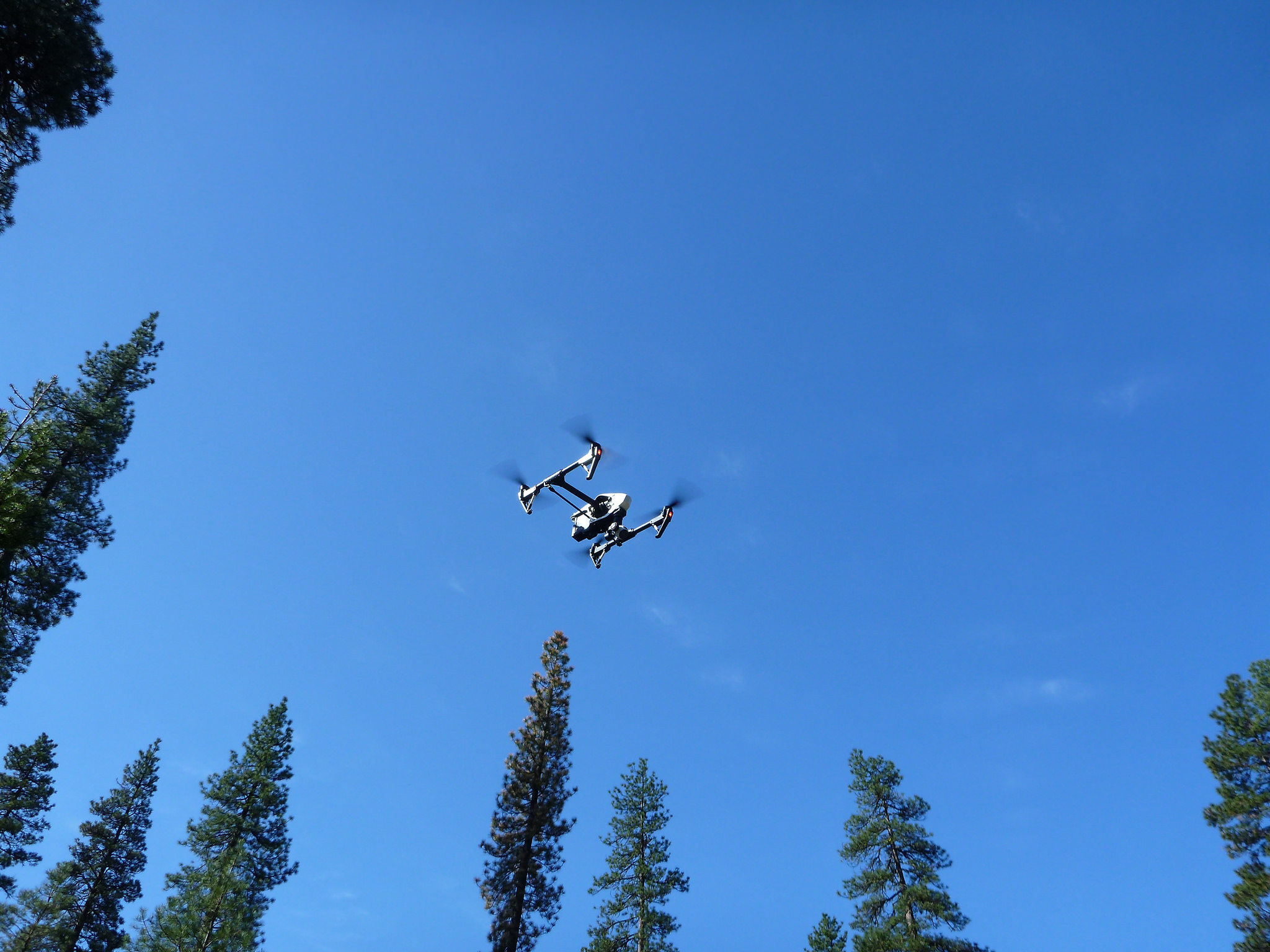 Unmanned aircraft systems, like this quadcopter, provide numerous benefits over manned aircraft for wildlife research. Image: Martin Criminale, Flickr
