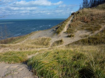 A view of the beach below a dune from the Indiana Dunes National Lakeshore. Image: carfull...