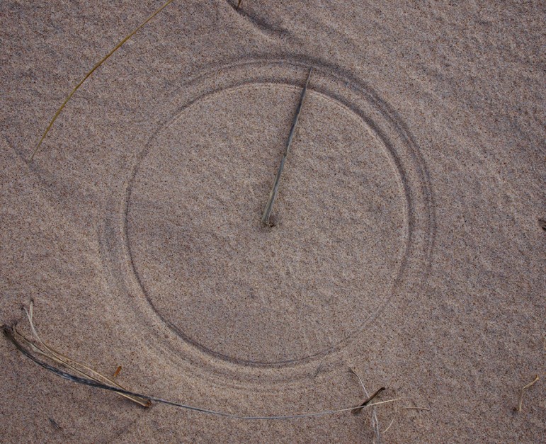 Dried dune grasses etch perfect circles in the beach sand. Image: David Marvin