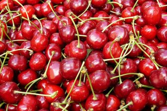 Producers can find the best markets to export their Michigan-born products, like cherries.