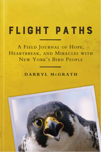 flight paths book cover