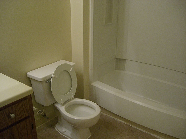 A leaky toilet could waste hundreds of gallons of water. Image: Joshua Willis, Flickr.