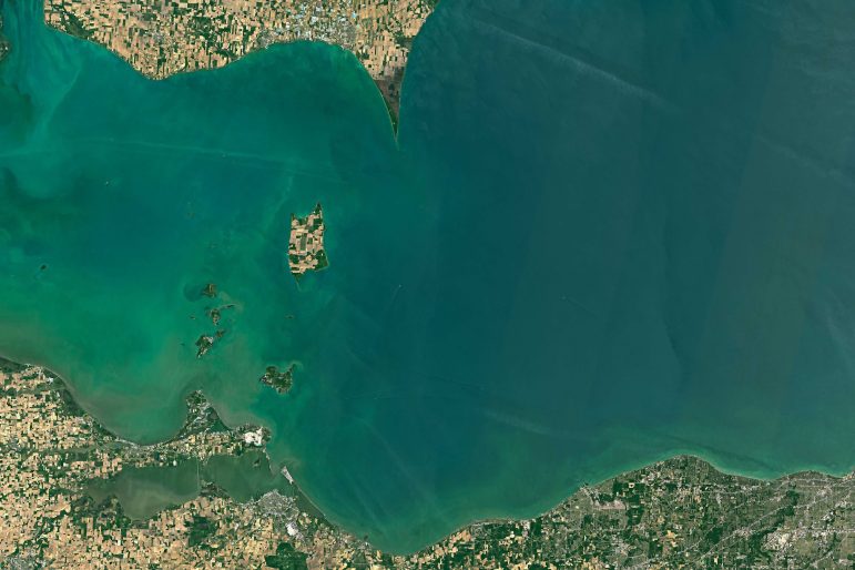 Algae tinges Lake Erie green in an image taken June 12 by NASA's Landsat 8 satellite. Image: NASA Earth Observatory