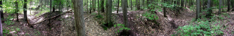 These pictures illustrate the size of the arena-shaped mounds found in Michigan. These four images placed together to show the width of the mounds. Some arena mounds are as large as a football field. Image: Meghan Howey