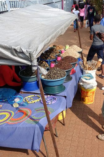 Entomophagy is widely accepted in parts of Africa. Image: Julie Lesnik
