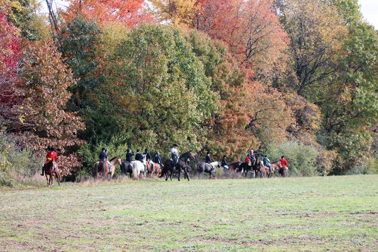 Battle Creek Hunt members and guests wait at the edge of a field while hounds search for fox or coyote scent. Photo: Karen Hopper Usher