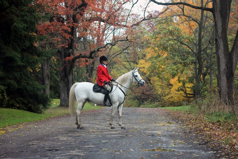 Kathy Taylor, hunt secretary and whipper-in for Battle Creek Hunt, waits for riders and horses to cross North 42nd Street in Augusta. Photo: Karen Hopper Usher