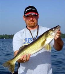 Walleye would be among the species most effected, because it is a bigger predator. Image: Gavin Peterson on Wikipedia