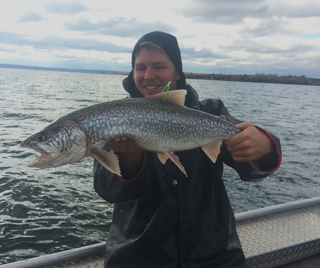 Unique lake trout could help restore Lake Michigan population