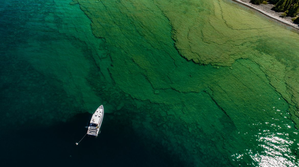 Fixing the food web: Cisco reintroduction to the Great Lakes could have  enormous ripple effect